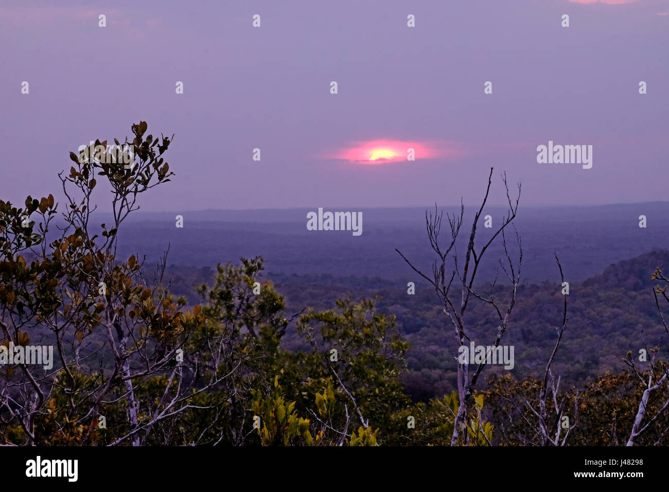 Den Sonnenuntergang über den Dschungel vom Gipfel La Danta eine große triadische Pyramide noch von Bäumen teilweise, steigt über den Dschungel Baldachin in El Mirador eine große präkolumbische Maya-Siedlung an einem Remotestandort befindet sich tief im Dschungel in der nördlich der modernen Abteilung des El Petén, Guatemala Stockfoto