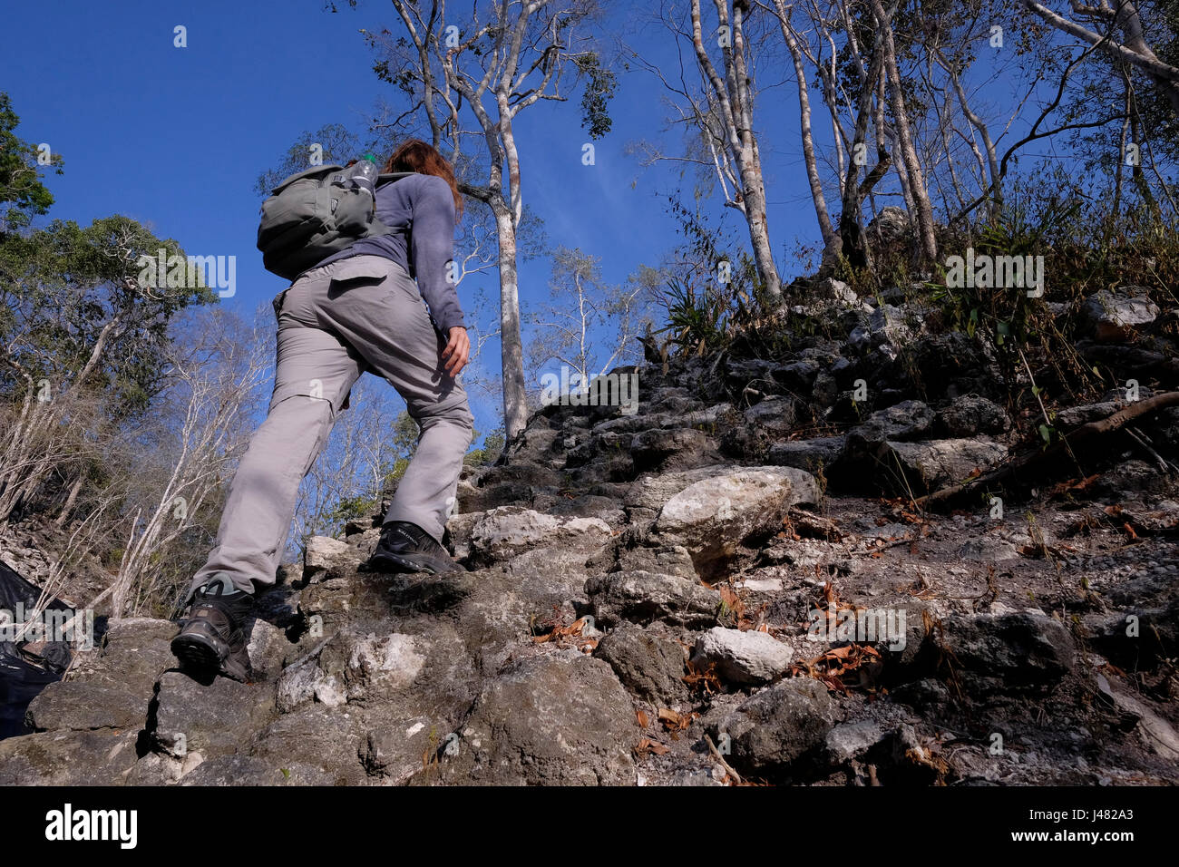 Ein Wanderer eine kleine Pyramiden-Struktur auf der Seite der Hauptpyramide auf der obersten Plattform klettern den Spitznamen El Tigre, bildet das übliche triadische Muster am El Mirador einer großen präkolumbischen Maya-Siedlung, befindet sich in einem abgelegenen Ort tief im Dschungel im Norden der modernen Abteilung der El Petén, Guatemala Stockfoto