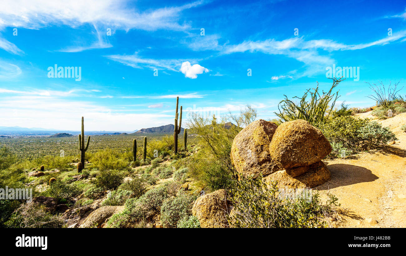 Blick auf das Tal der Sonne mit der Stadt Phoenix in der fernen Zukunft gesehen von der halb Wüstenlandschaft von Usery Berg in Arizona, USA Stockfoto