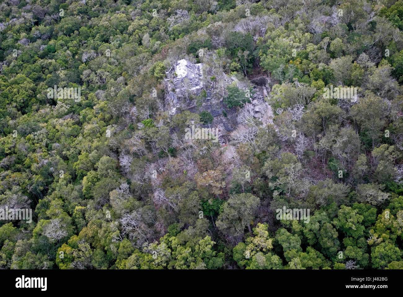 Luftaufnahme von El Dante die größte triadische Pyramidenstruktur jemals bauen in der Maya-Welt noch teilweise von Bäumen, erhebt sich über den Dschungel Vordach an El Mirador eine große präkolumbische Maya-Siedlung, gelegen an einem Remotestandort tief im Dschungel in der nördlich der modernen Abteilung des El Petén, Guatemala Stockfoto
