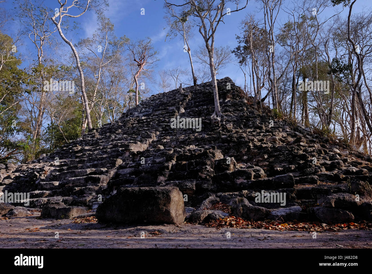 Blick auf einen kleinen Pyramiden-Struktur auf der Seite der Hauptpyramide auf der obersten Plattform den Spitznamen El Tigre, bildet das übliche triadische Muster am El Mirador einer großen präkolumbischen Maya-Siedlung, befindet sich in einem abgelegenen Ort tief im Dschungel im Norden der modernen Abteilung der El Petén, Guatemala Stockfoto