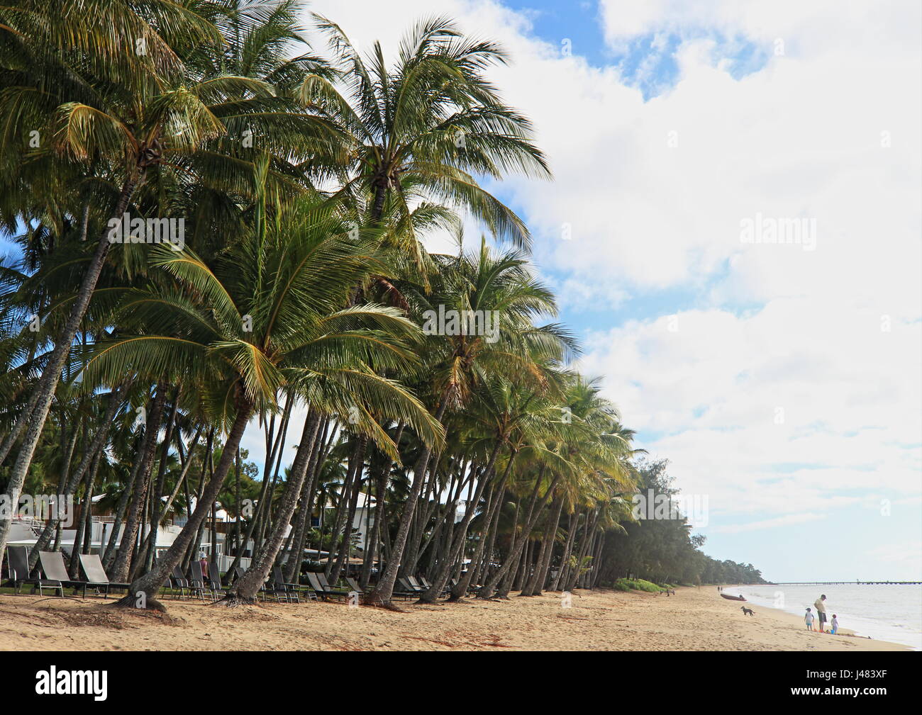 Verlockende Palm Cove Strand-Szene mit blauem Himmel, weiche weiße Wolkendecke, ruhige See und einer Linie sanft wogenden Palmen entlang der Kante des golden sand Stockfoto