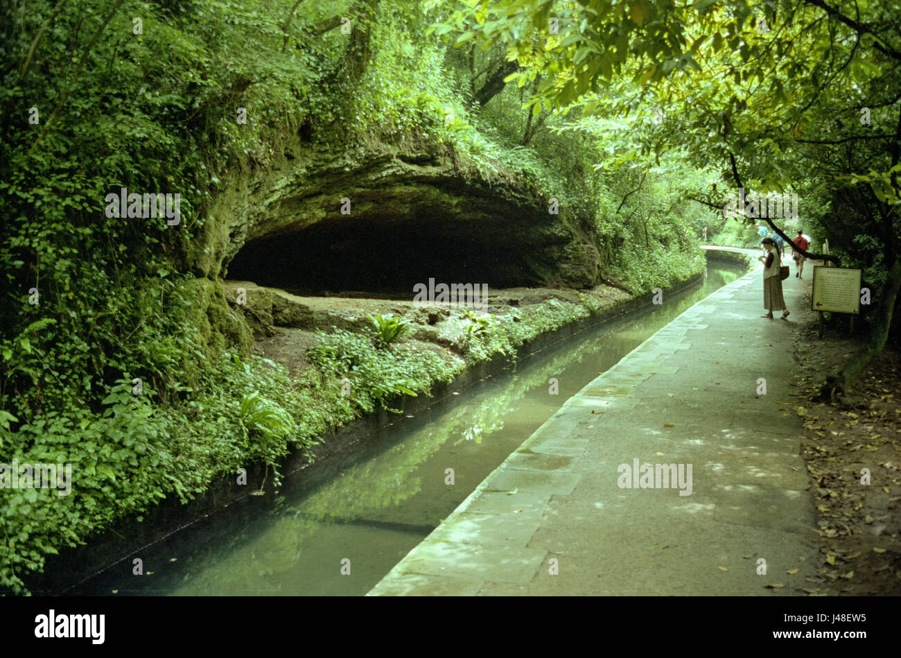 Hyäne Den, Wookey Hole Cave, Somerset Stockfoto
