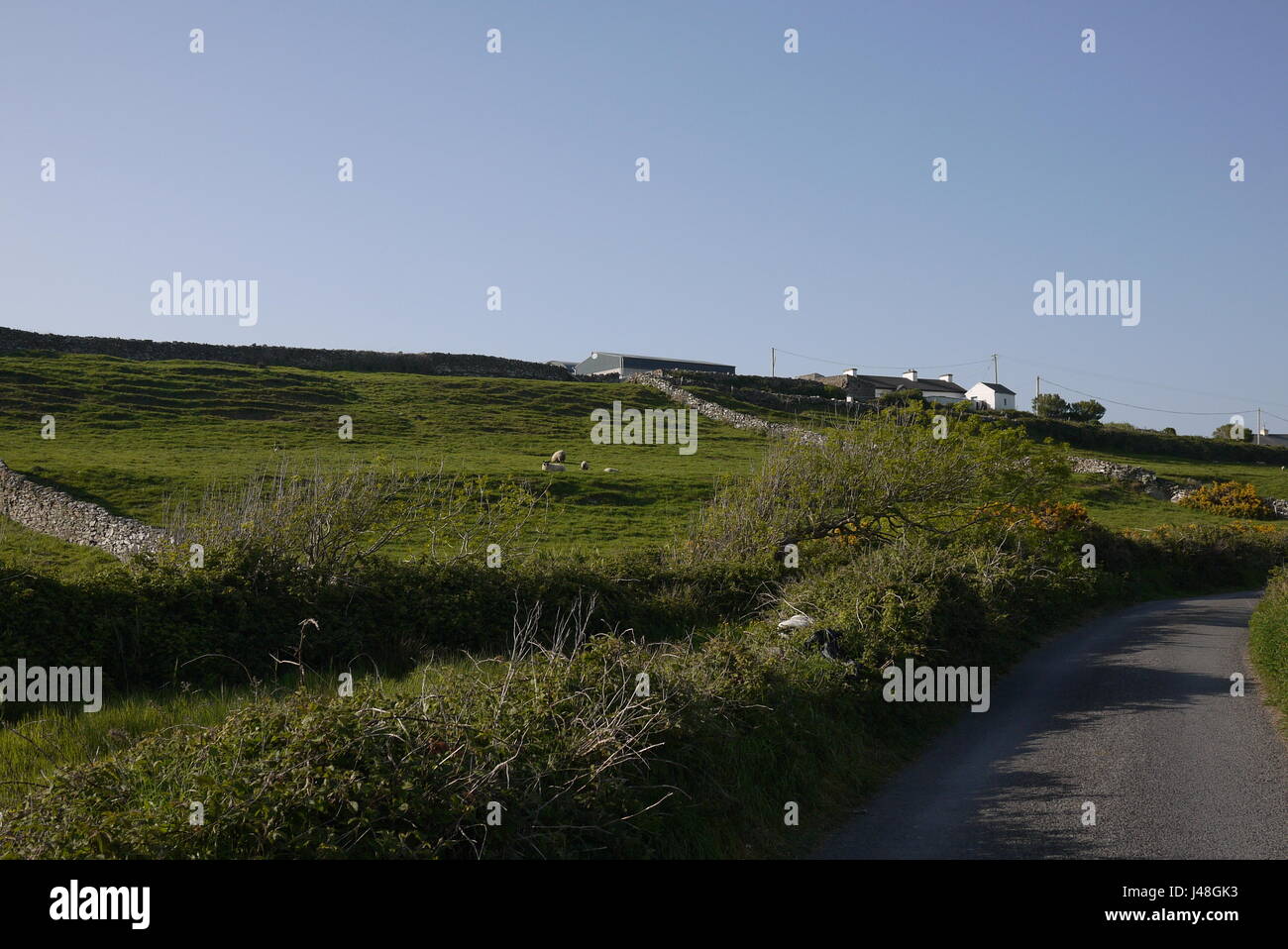 Irische Landschaft Stockfoto