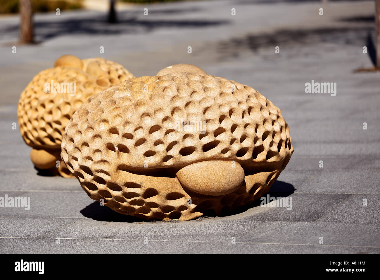 Steinskulpturen auf den Gehweg am Tumbalong Boulevard, Darling Harbour Precinct, Sydney, Australien Stockfoto