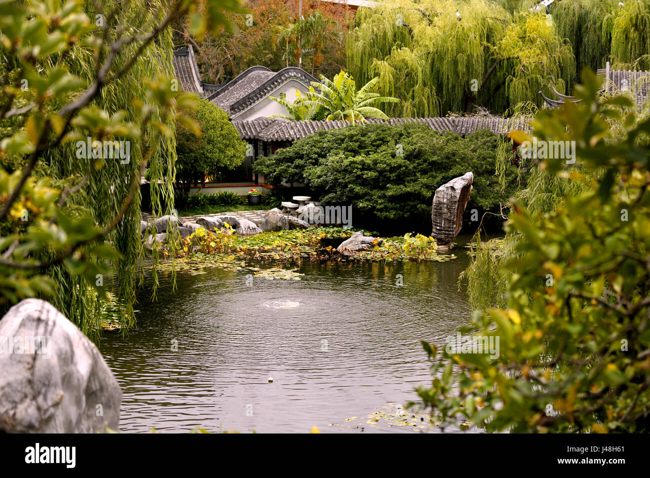 Chinesisch australischer freundschaftsgarten Fotos und Bildmaterial