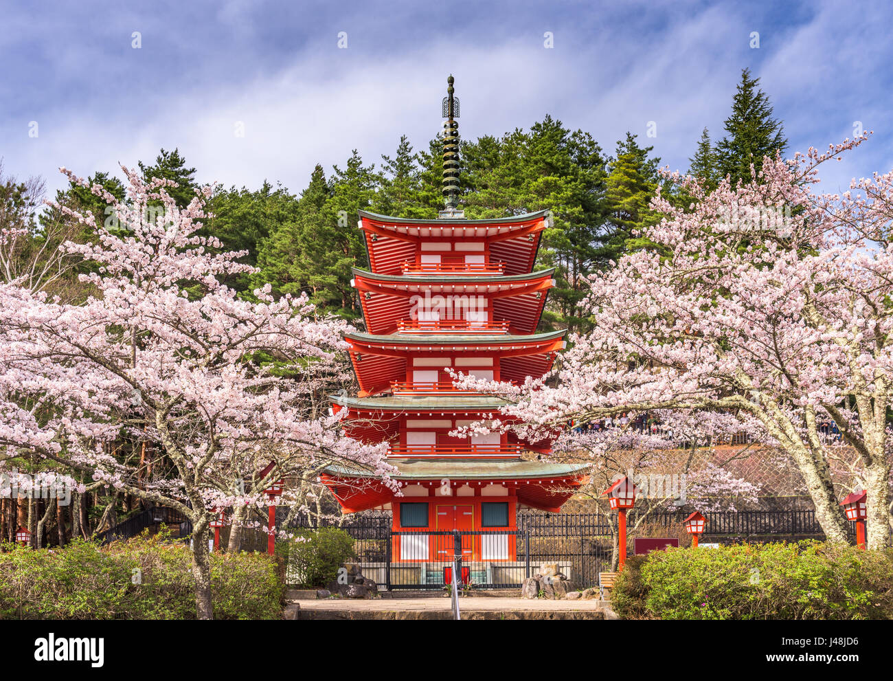 Fujiyoshida, Japan Chureito Pagode im Frühling. Stockfoto