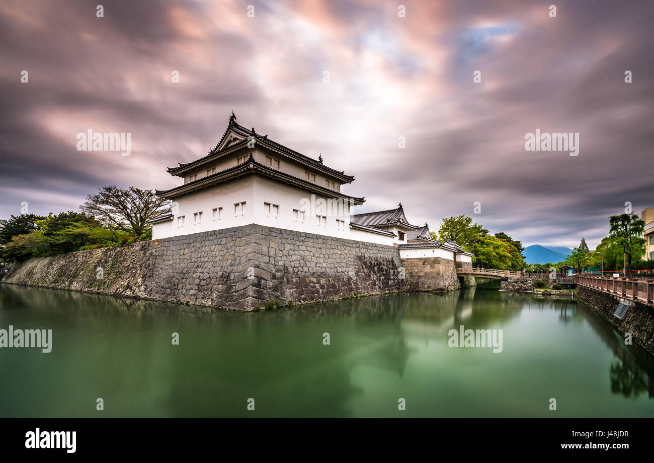 Shizuoka, Japan auf der historischen Burg Sumpu. Stockfoto