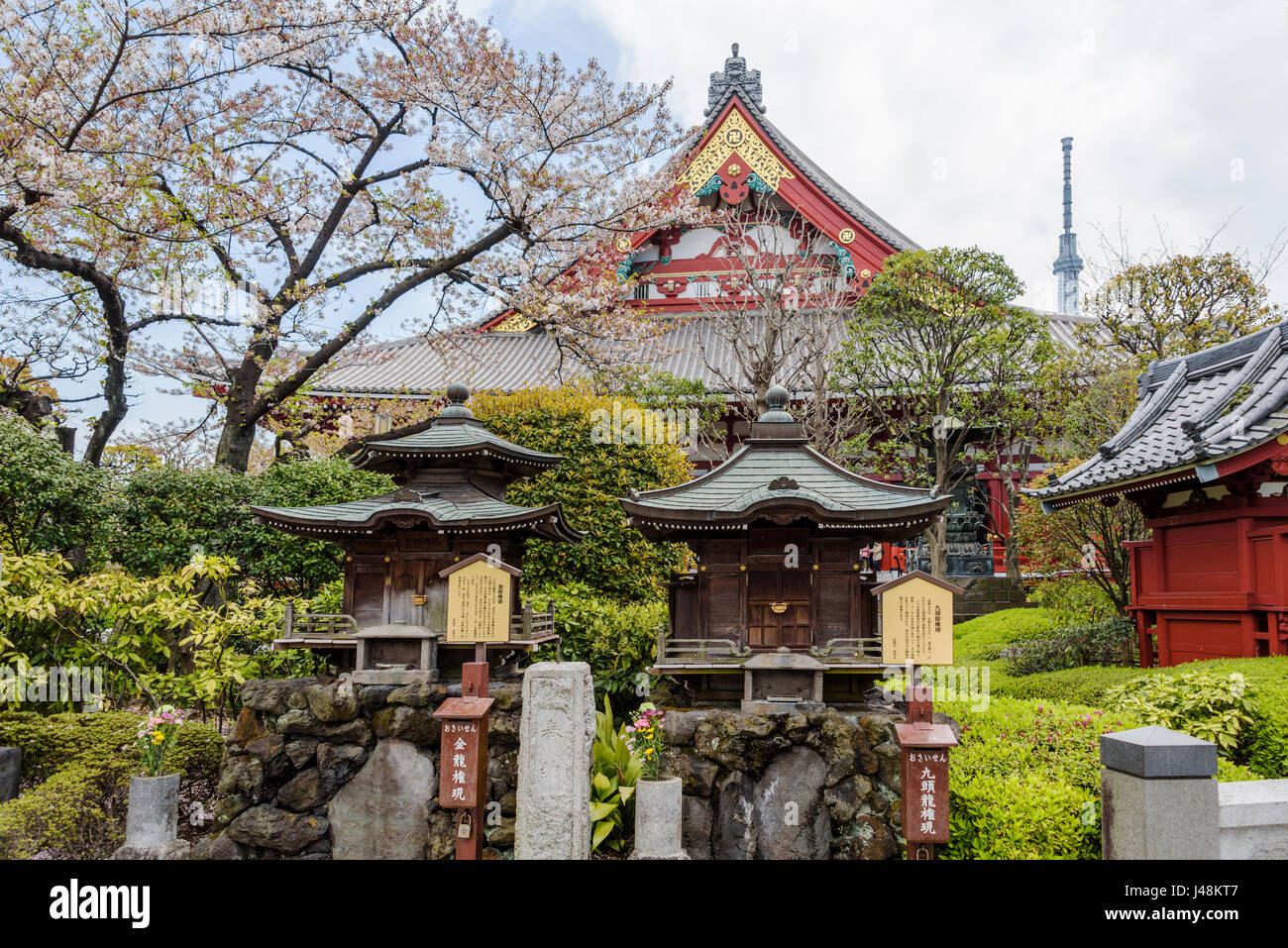 Hinter dem Haupttempel Gebäude, ruhige Gärten mit einige Schreine. Senso-ji Tempel Stockfoto
