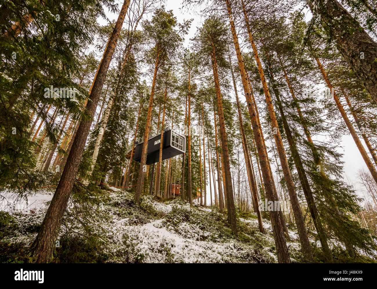 Unterkunft in den Wäldern, bekannt als The Cabin im Tree Hotel in Lappland, Schweden Stockfoto