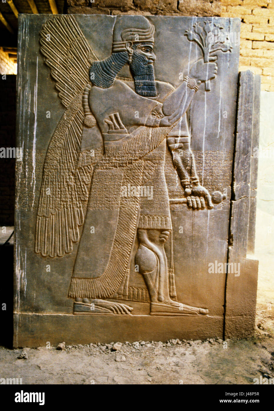 Ashurnasirpal ii nimrud Fotos und Bildmaterial in hoher Auflösung Alamy