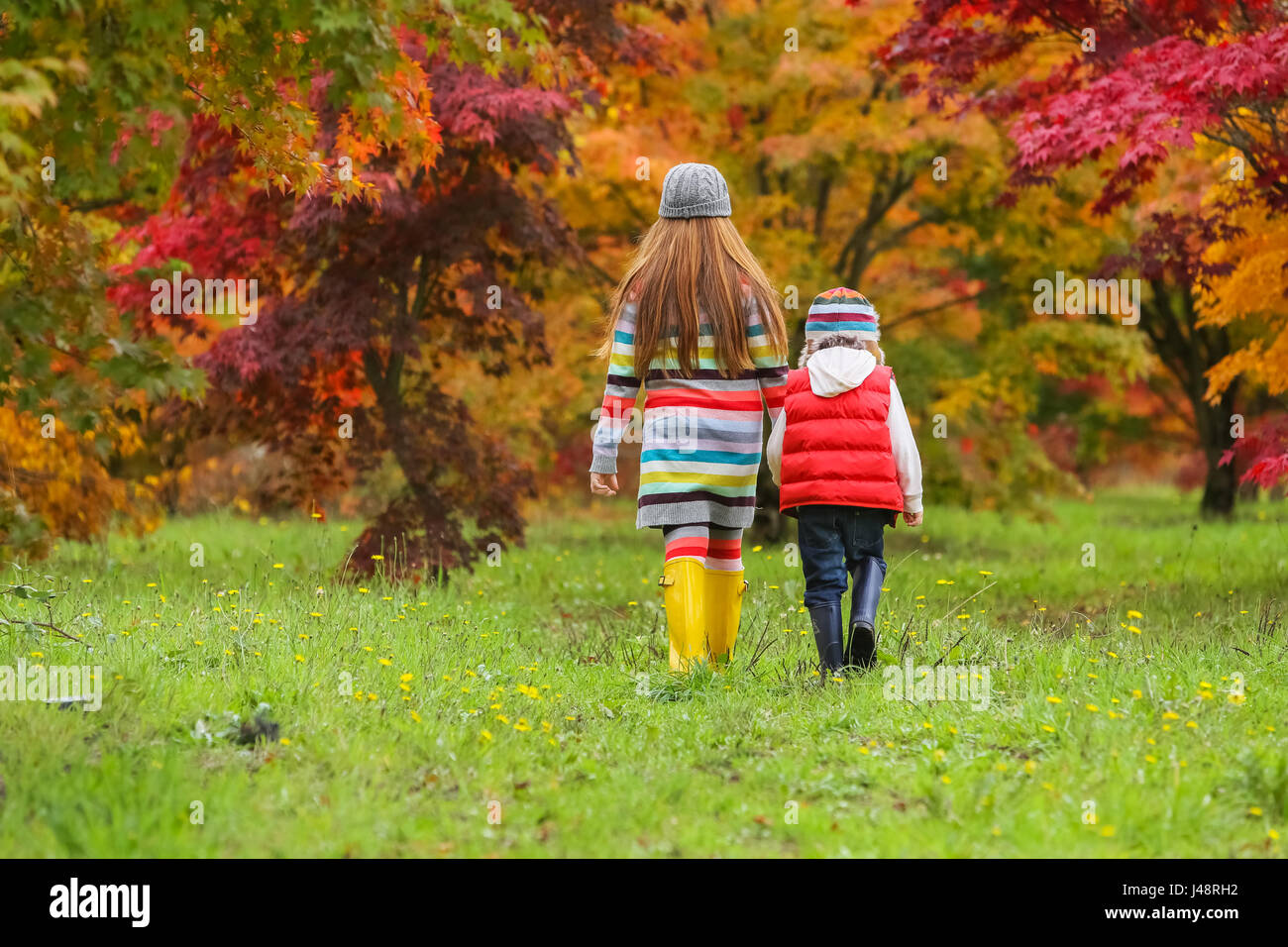 Ein kleiner Junge und ein Mädchen Gummistiefel und bunte Kleidung tragen  Fuß über ein Feld in Richtung Bäume in leuchtenden Herbstfarben  Stockfotografie - Alamy