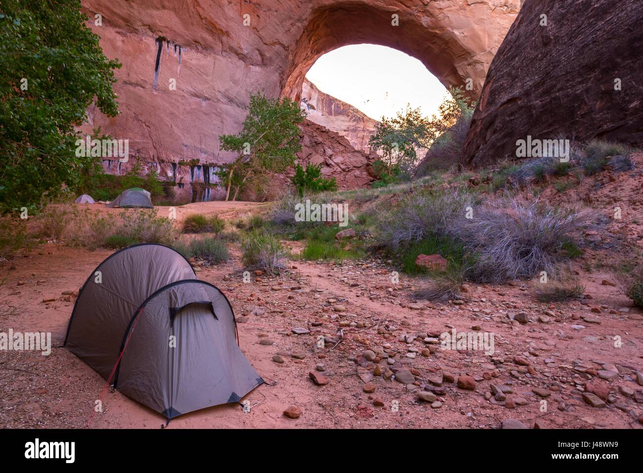 Zelt- und Wildniscampen auf dem Great Hiking Trail unter dem Jacob Hamblin Arch. Coyote Gulch Rock Landscape Canyons of the Escalante, Utah, USA Stockfoto