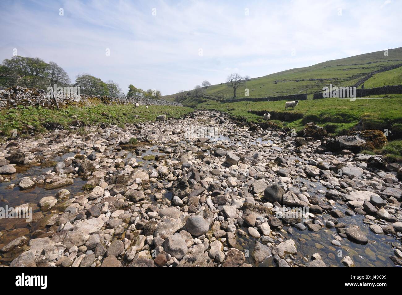 Yorkshire, Vereinigtes Königreich. 11. Mai 2017. Großbritannien Wetter. Sommer kommt früh zu den berühmten Yorkshire Dales in England. Flüsse sind zur Neige am Oberlauf des Flusses Wharfe im schönen Wharfedale, N Yorkshire zu einem Zeitpunkt wann Frühling Torrents normalerweise Flüssen und Nebenflüssen füllen. Die Wharfe in der Nähe von Oughtershaw und Hubberholme, ein beliebter Treffpunkt des Schriftstellers J B Priestley, sind Anzeigen ausgesetzt Kies- und Rockbeds, die normalerweise nicht bis Ende Juni enthüllt. Bildnachweis: David Hickes/Alamy Live-Nachrichten Stockfoto