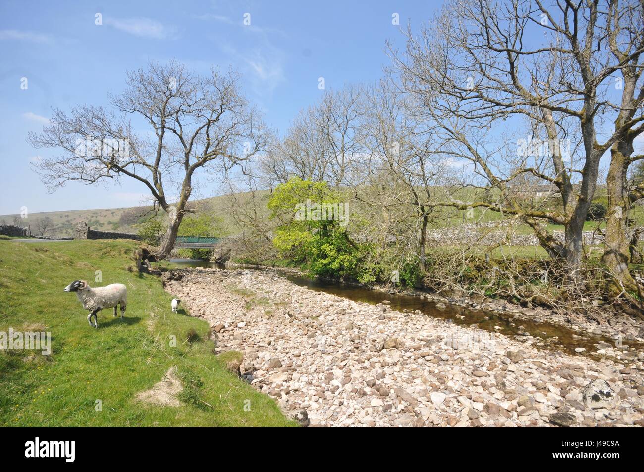 Yorkshire, Vereinigtes Königreich. 11. Mai 2017. Großbritannien Wetter. Sommer kommt früh zu den berühmten Yorkshire Dales in England. Flüsse sind zur Neige am Oberlauf des Flusses Wharfe im schönen Wharfedale, N Yorkshire zu einem Zeitpunkt wann Frühling Torrents normalerweise Flüssen und Nebenflüssen füllen. Die Wharfe in der Nähe von Oughtershaw und Hubberholme, ein beliebter Treffpunkt des Schriftstellers J B Priestley, sind Anzeigen ausgesetzt Kies- und Rockbeds, die normalerweise nicht bis Ende Juni enthüllt. Bildnachweis: David Hickes/Alamy Live-Nachrichten Stockfoto