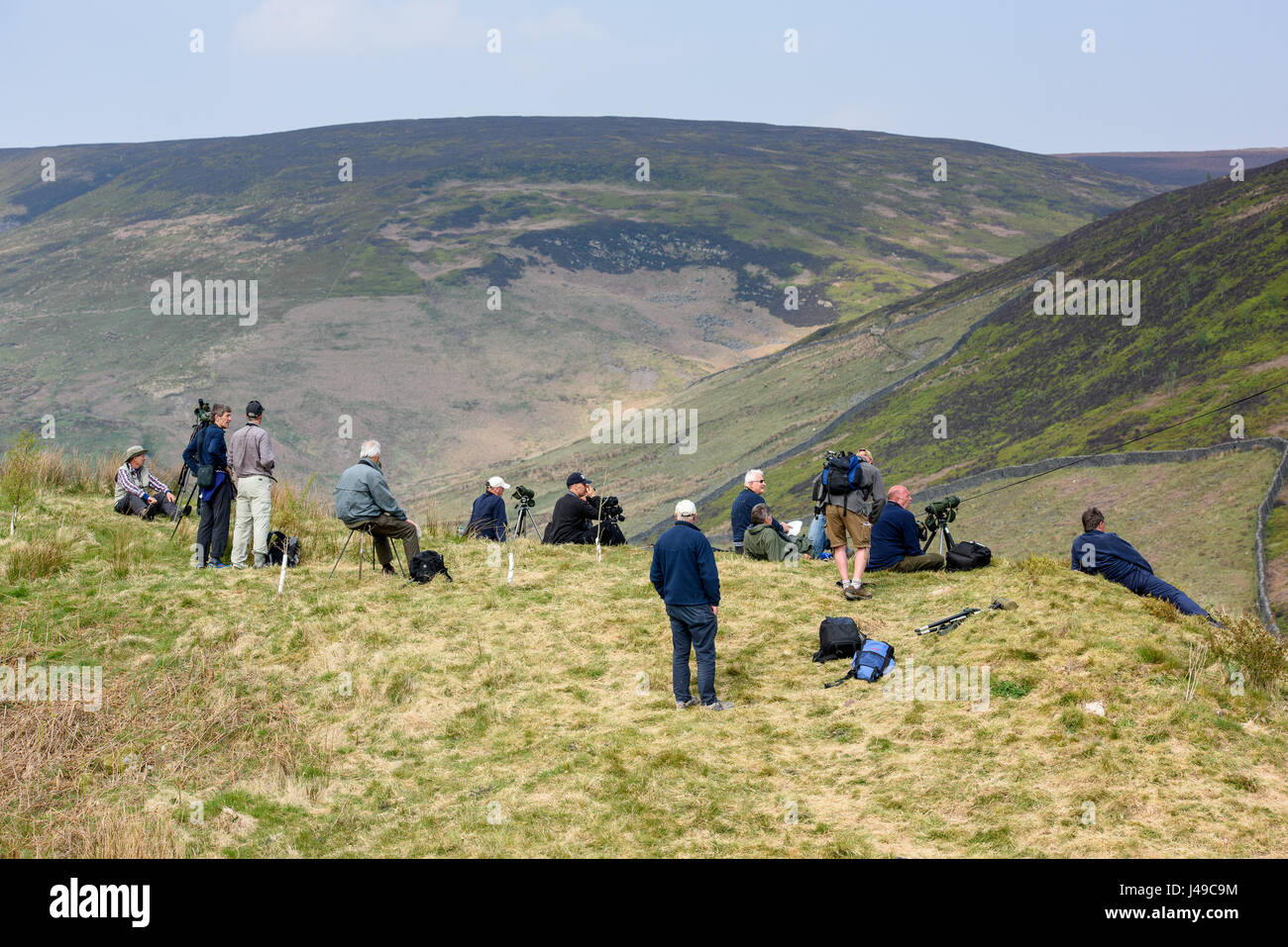Lancashire, UK. 11. Mai 2017. Nach einer Wanderung von 3 Meilen in der Bowland Fells von Dunsop Bridge, Lancashire, Vogelbeobachter werden belohnt mit ein sehr seltener Anblick in England, einem erwachsenen männlichen Steppenweihe abgeblasen Kurs von Ostwinden drauf lässt sich Kasachstan nach Überwinterung in Afrika. Ausgewachsene Männchen sind außerordentlich selten in Großbritannien aber war letzten Sonntag Morgen nahe Hornsea in East Yorkshire gesehen und dies ist wahrscheinlich der gleiche Vogel. Bildnachweis: John Eveson/Alamy Live-Nachrichten Stockfoto