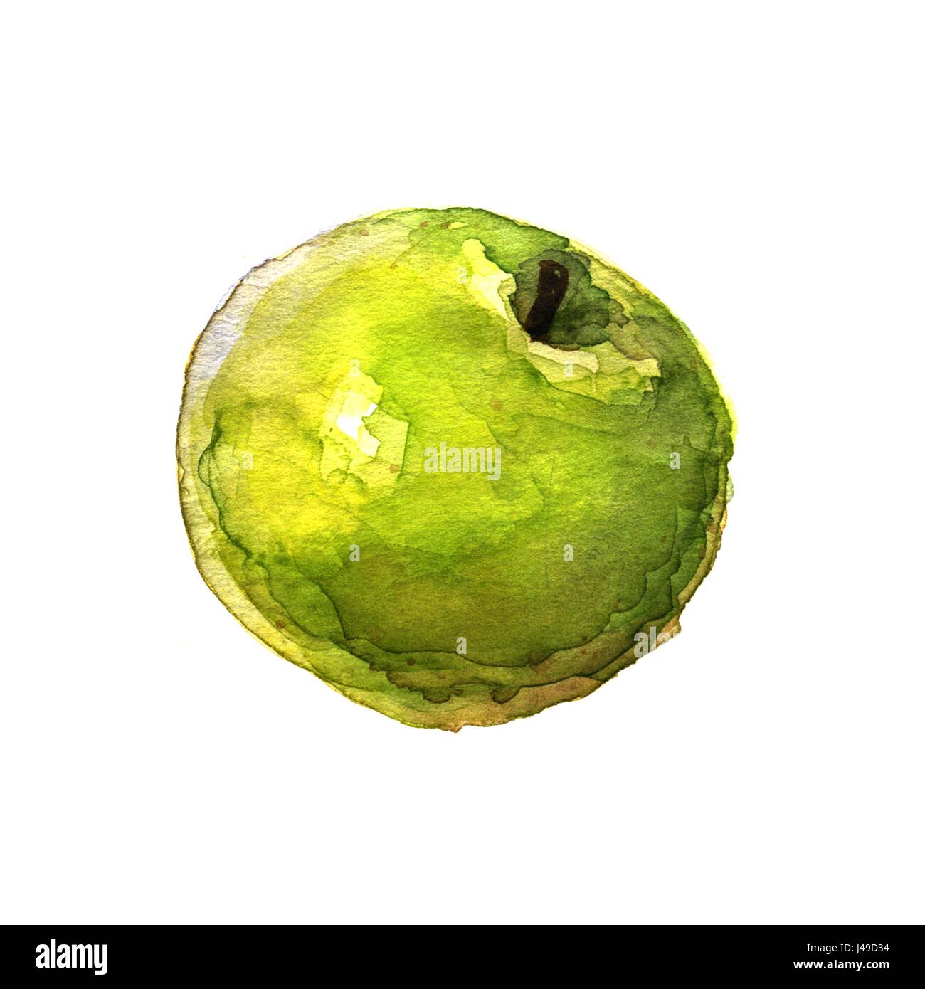 Grüner Apfel. Handgezeichnete Aquarell Bild auf weißem Hintergrund Stockfoto