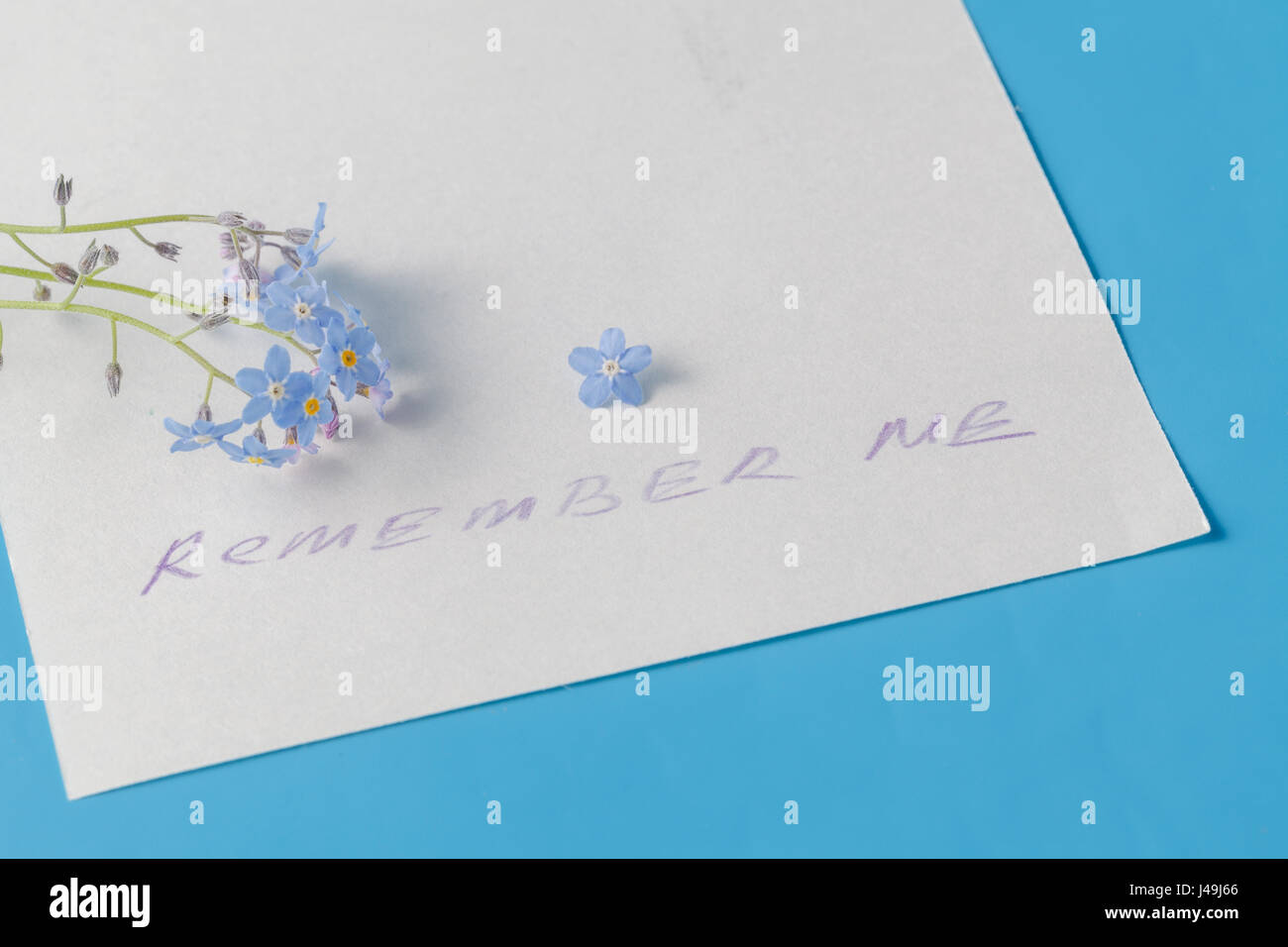 "Denk an mich» Konzept. blaue Blumen (Vergissmeinnicht) auf Papier mit Botschaft Stockfoto