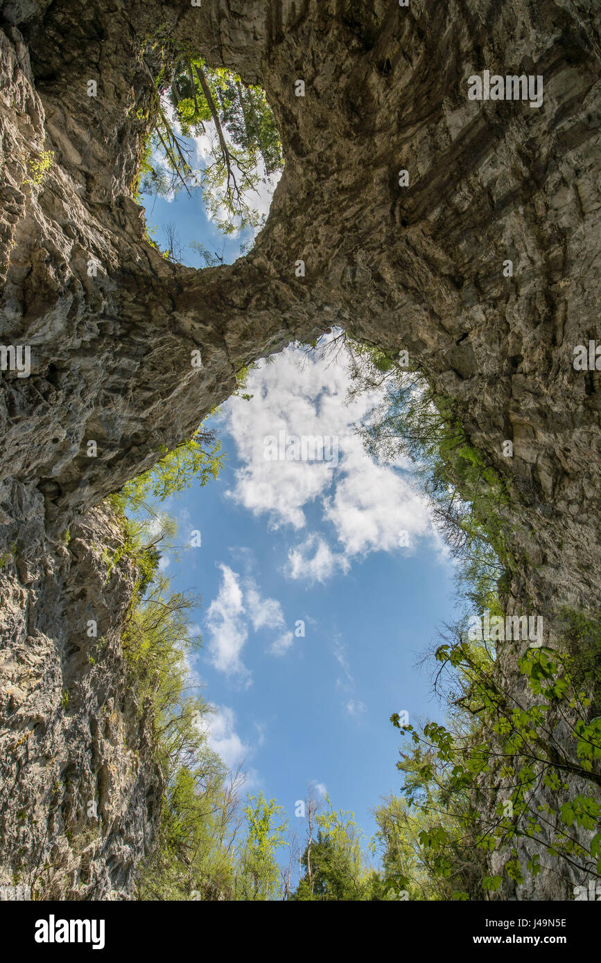 Große natürliche Brücke, die in der Unesco geschützten Rakov Skocjan Nationalpark im Frühling Stockfoto