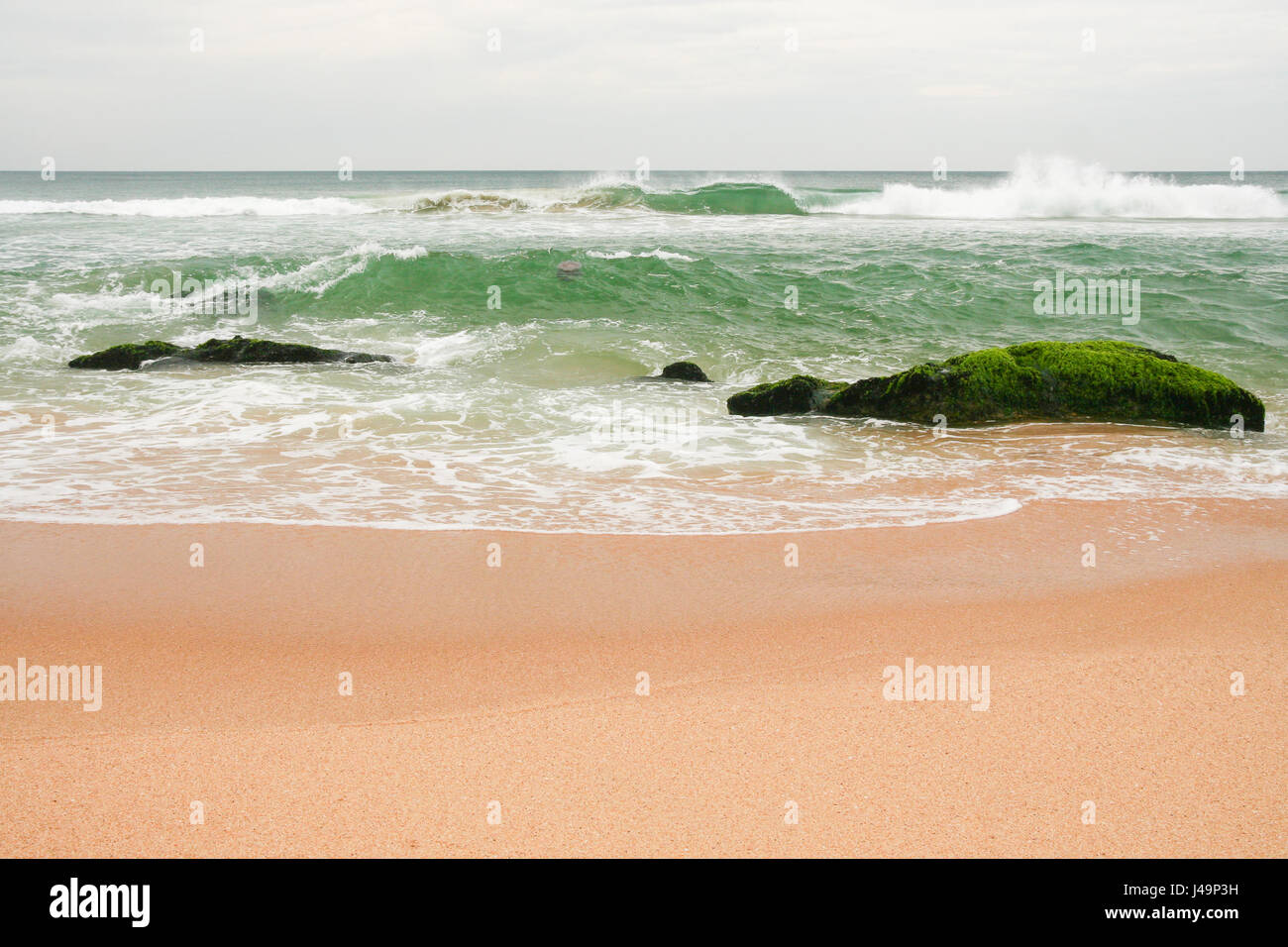 Rock bedeckt in Algen am Strand Stockfoto