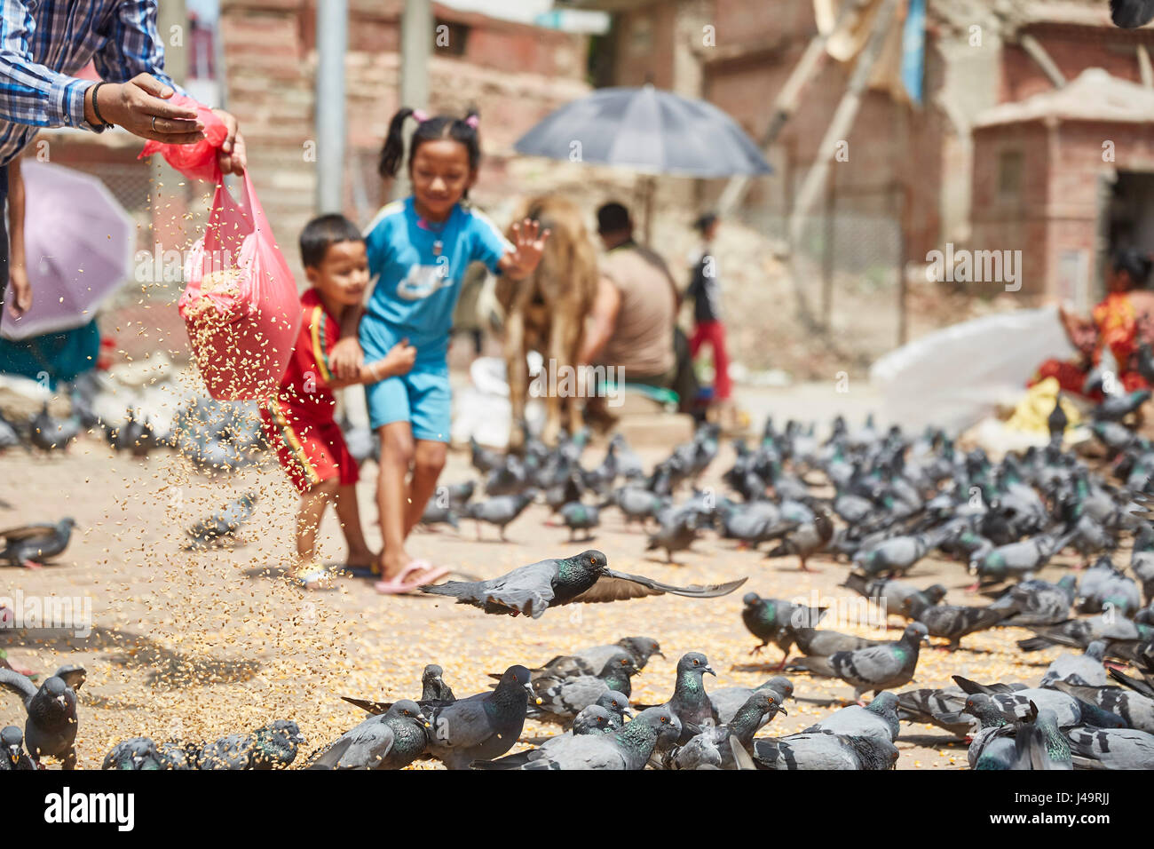 Junges Kind durchläuft Tauben, Durbar Square, Kathmandu, Nepal Stockfoto