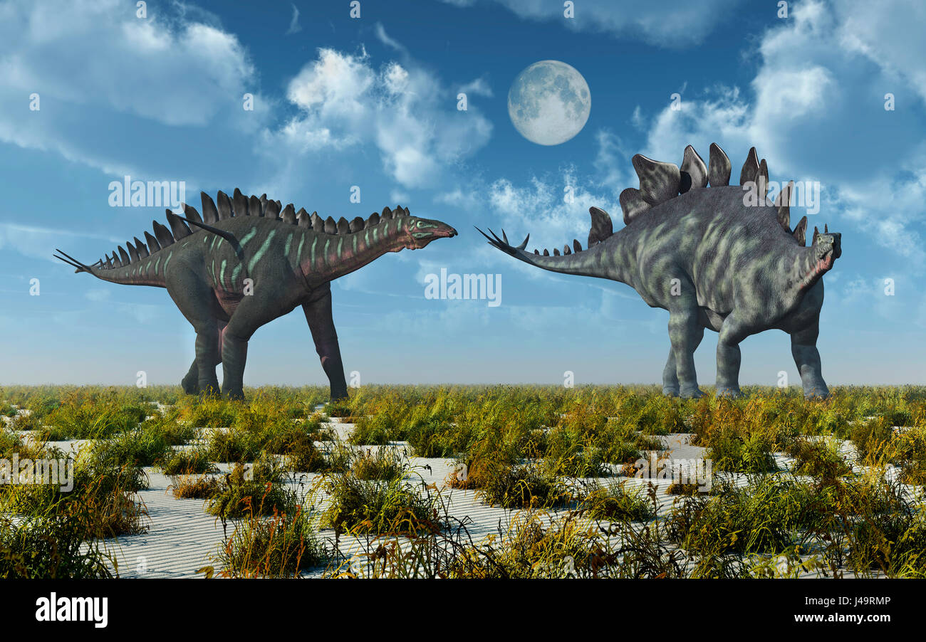 Ein Miragaia & einen Stegosaurus Dinosaurier Stockfoto