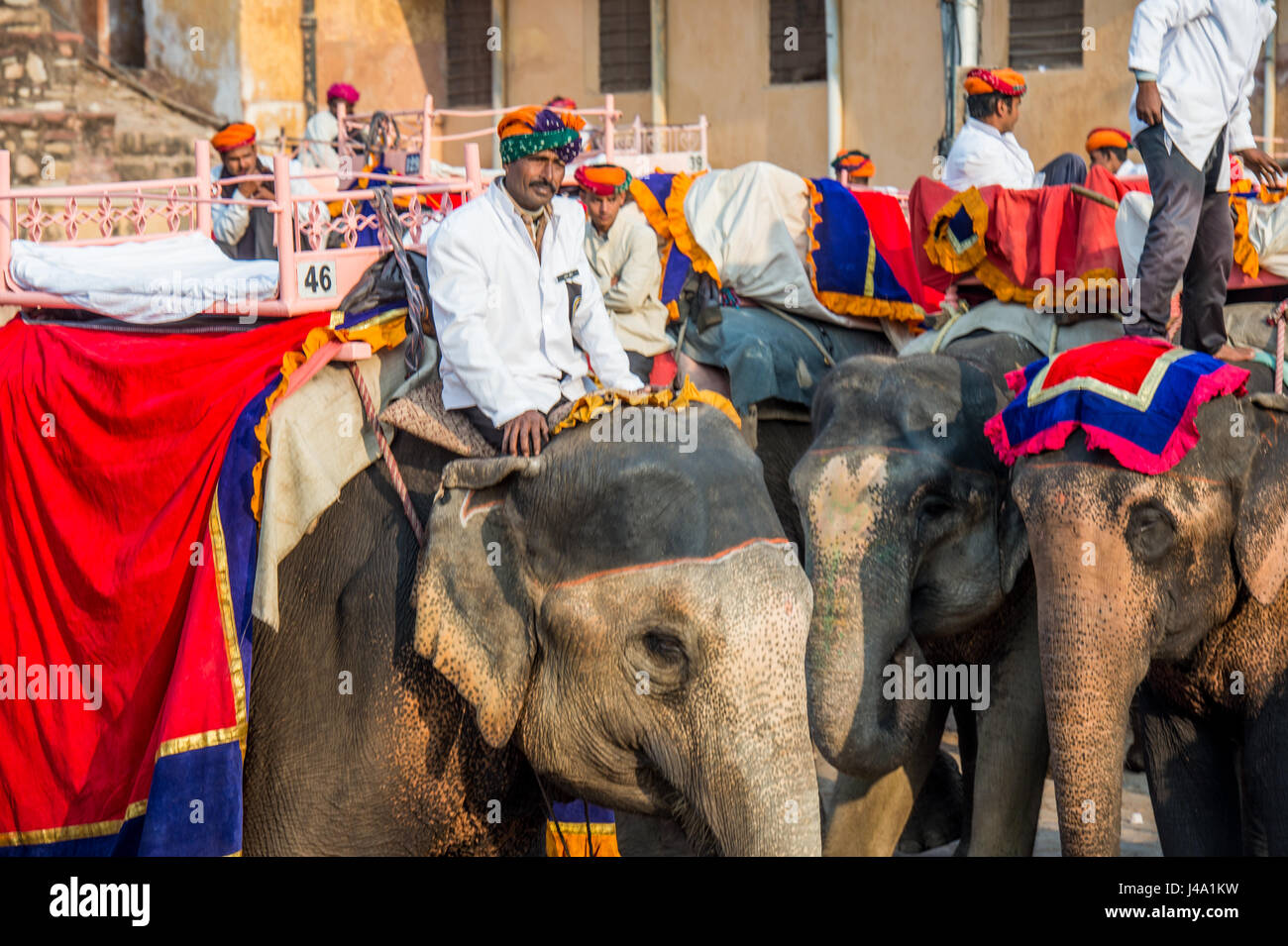 Mahouts aufgereiht und warten auf Touristen nehmen bis die Amer Fort in Jaipur, Indien. Stockfoto