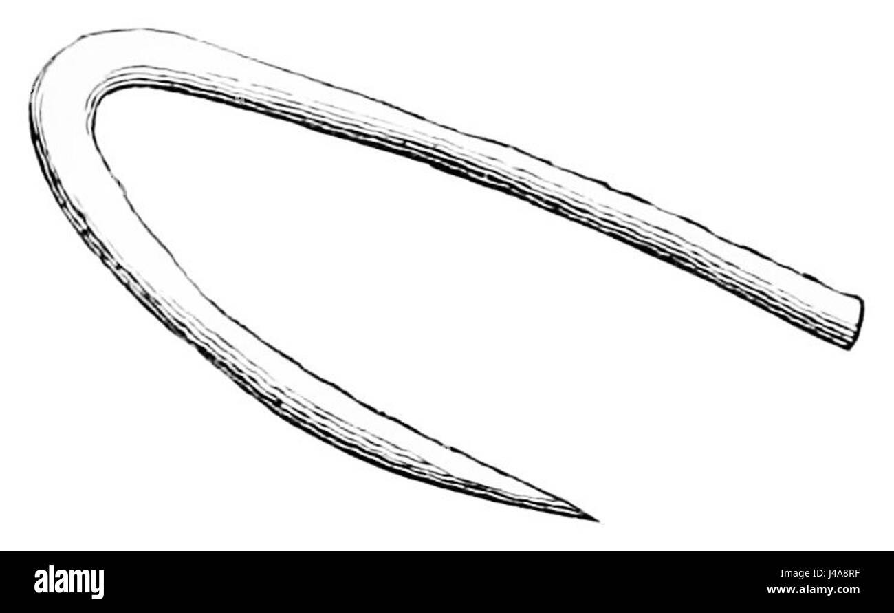 Dies bezieht sich auf eine historische oder anthropologische Aufzeichnung, die möglicherweise Maori-Kultur und Artefakte diskutiert. Der Begriff „Maori-Hacke“ könnte sich auf ein traditionelles Maori-Paddel beziehen, wobei „Tima“ auf eine Person oder Figur verweist, die in der Geschichte der Maori beteiligt ist. Stockfoto