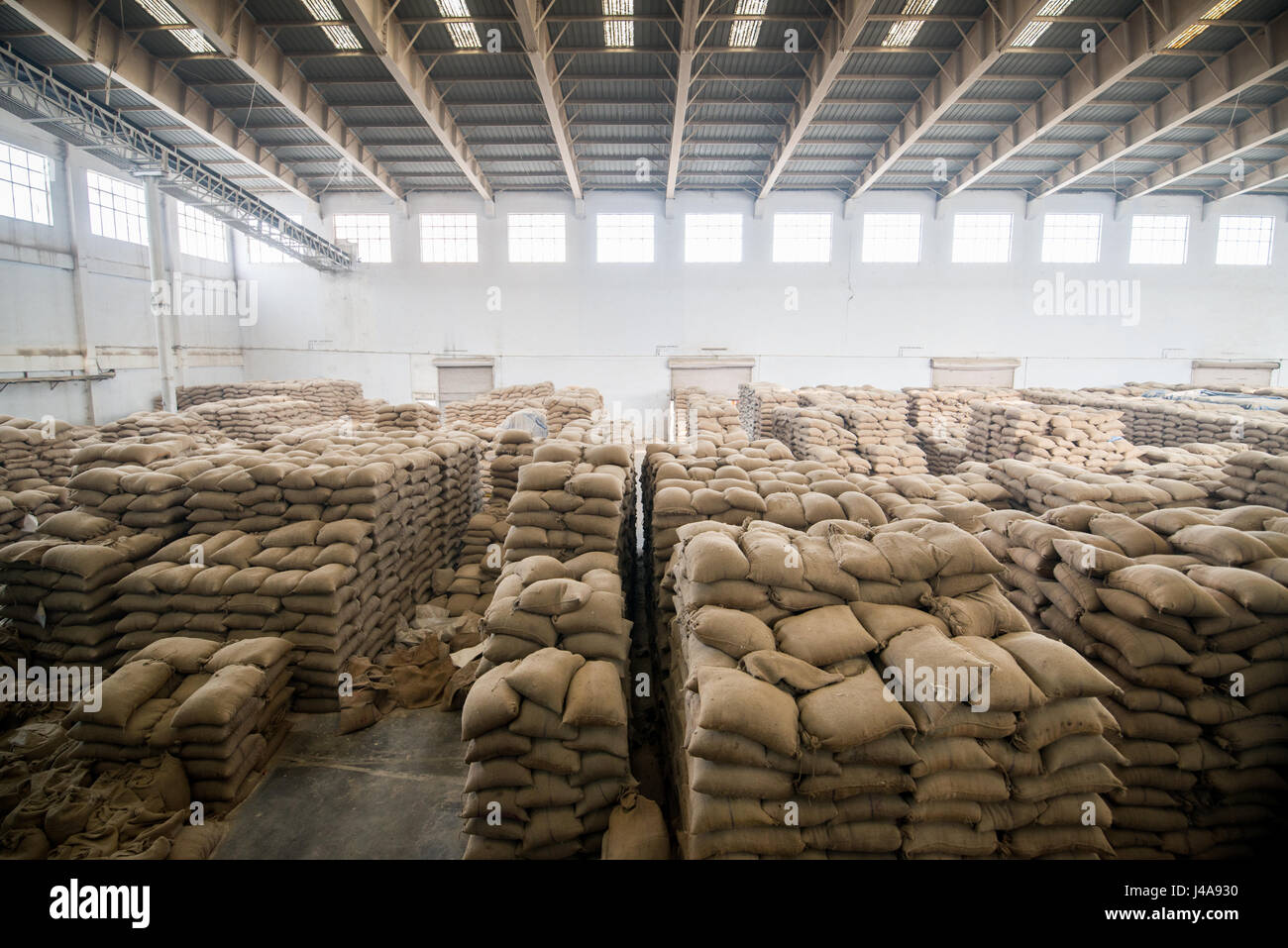 Einem großen Lagerraum ist voller Säcke mit Getreide in Neu-Delhi, Indien. Stockfoto