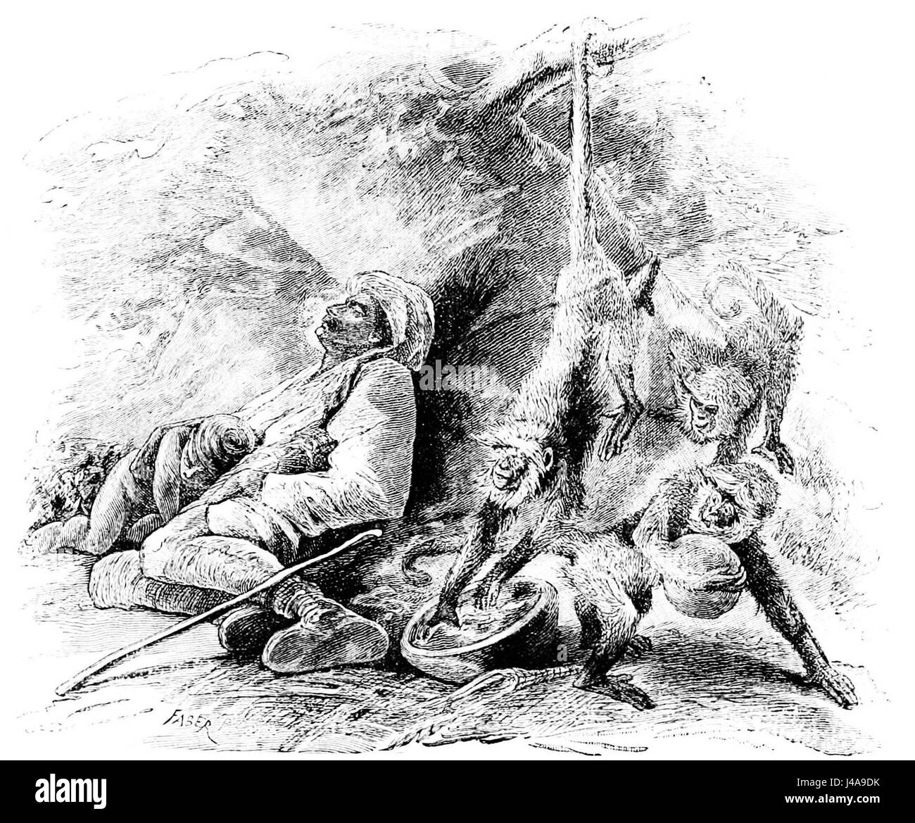 PSM V22 D611 verlegt Vertrauen Possen von wilden Affen Stockfoto