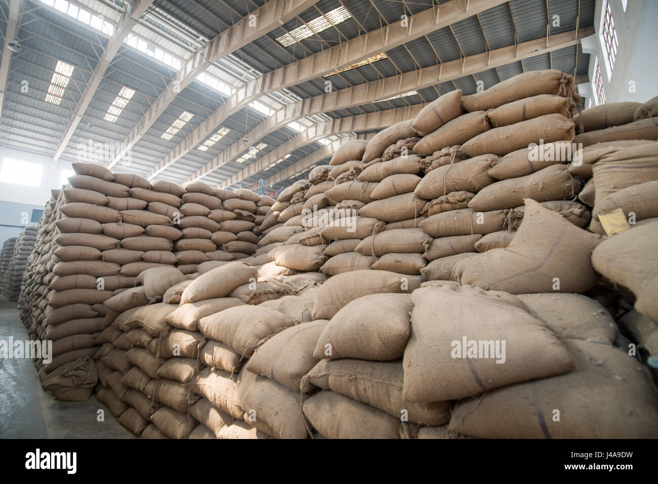 Einem großen Lagerraum ist voller Säcke mit Getreide in Neu-Delhi, Indien. Stockfoto