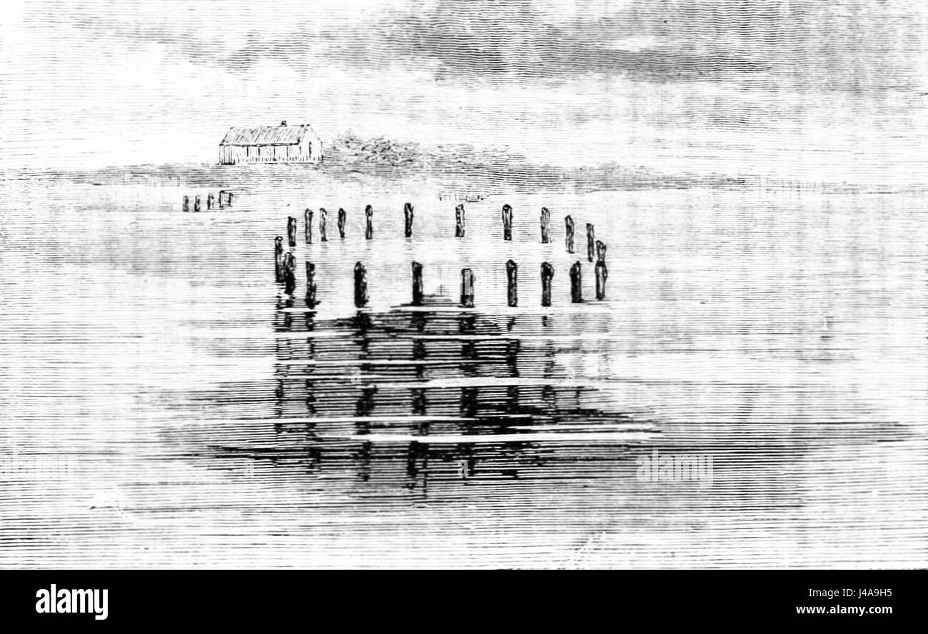 PSM V06 D015 künstliche Austernbank im See fusaro Stockfoto