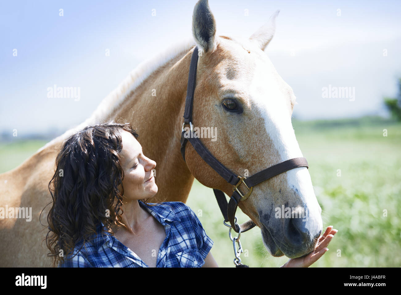 Frau und Pferd zusammen im Fahrerlager Stockfoto