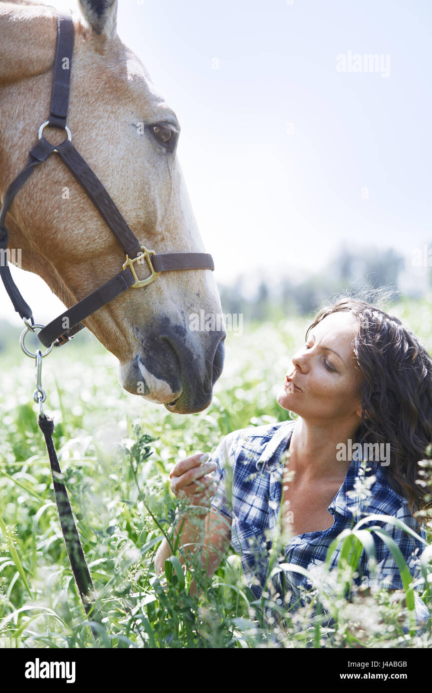 Frau und Pferd zusammen im Fahrerlager Stockfoto