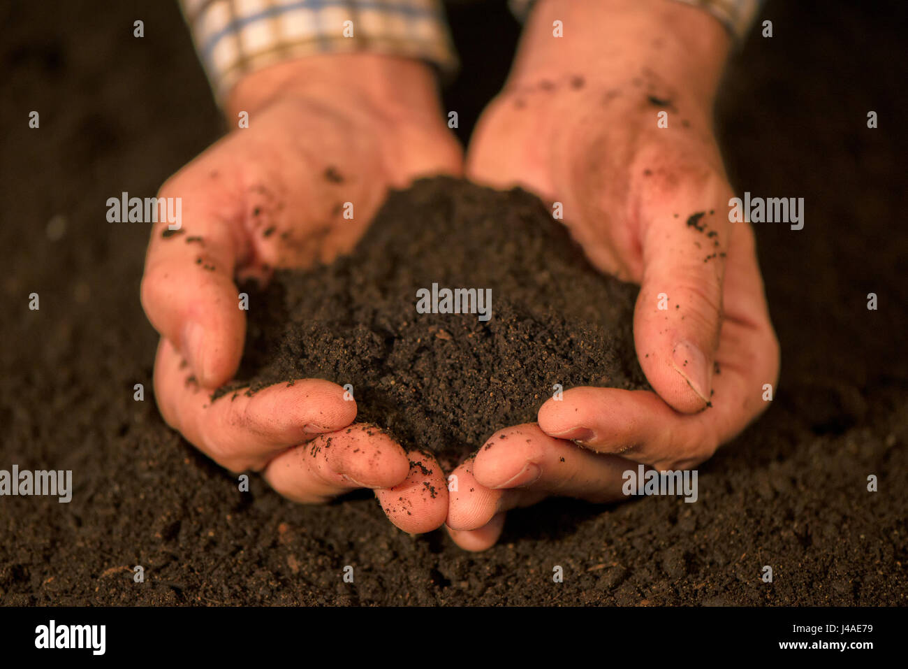 Handvoll Ackerboden in Händen der Verantwortlichen männlichen Bauer, Nahaufnahme, selektiven Fokus Stockfoto