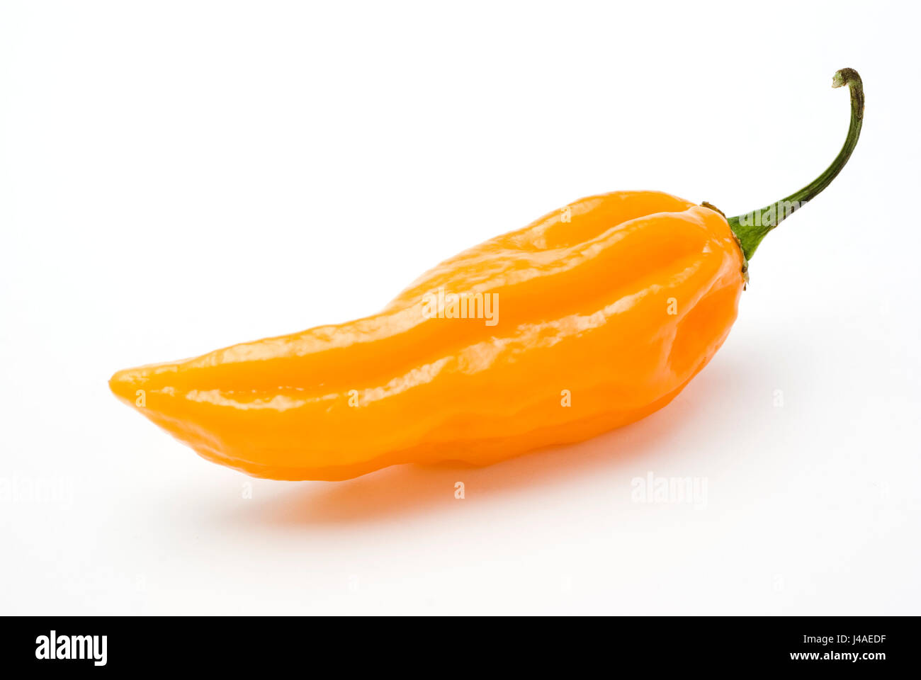 Fatalii Chili Stockfoto