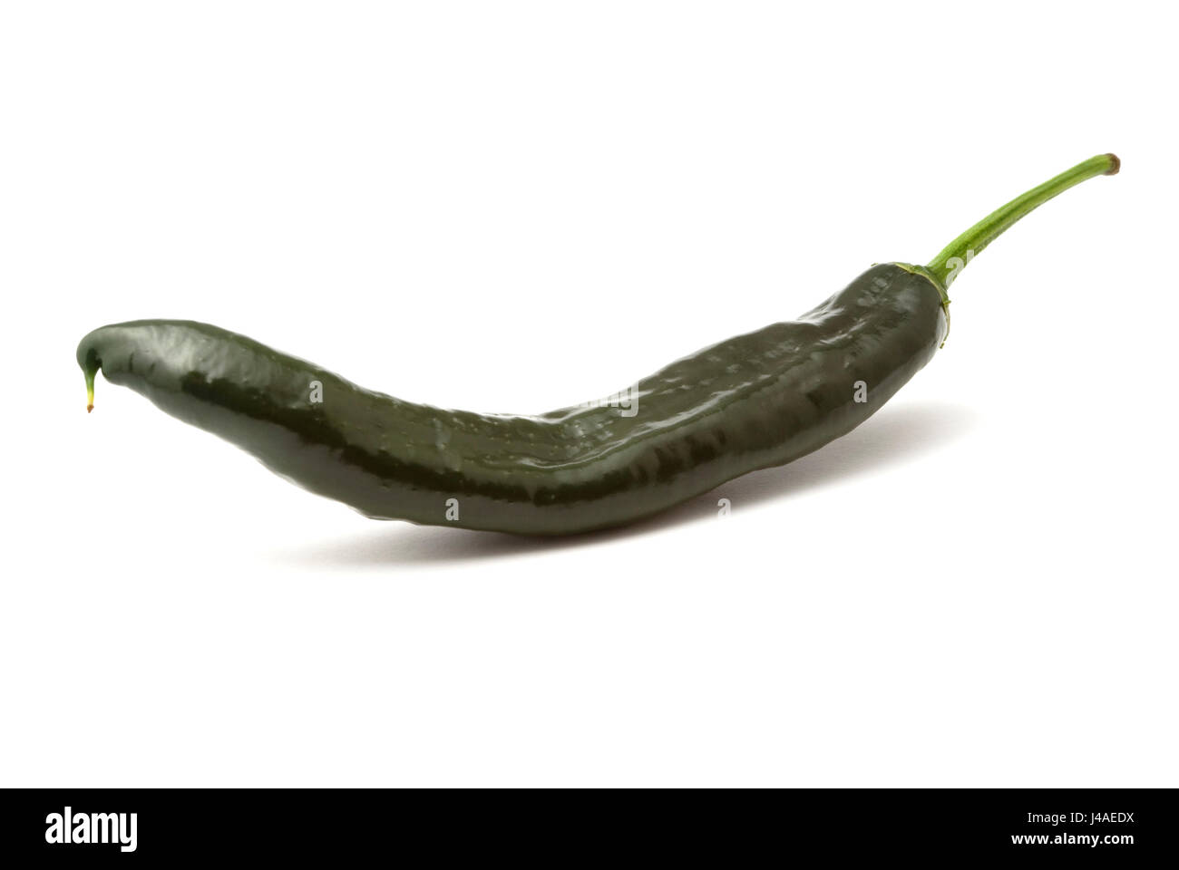 Chilaca Chili Stockfoto