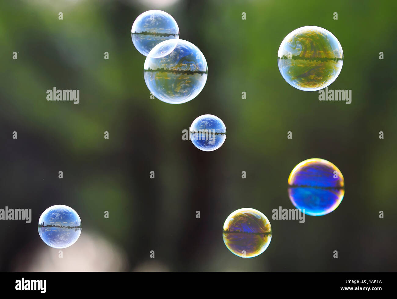 Schönen festlichen Hintergrund mit Rainbow bubbles mit der Reflexion des Himmels auf grünem Gras Blase Stockfoto