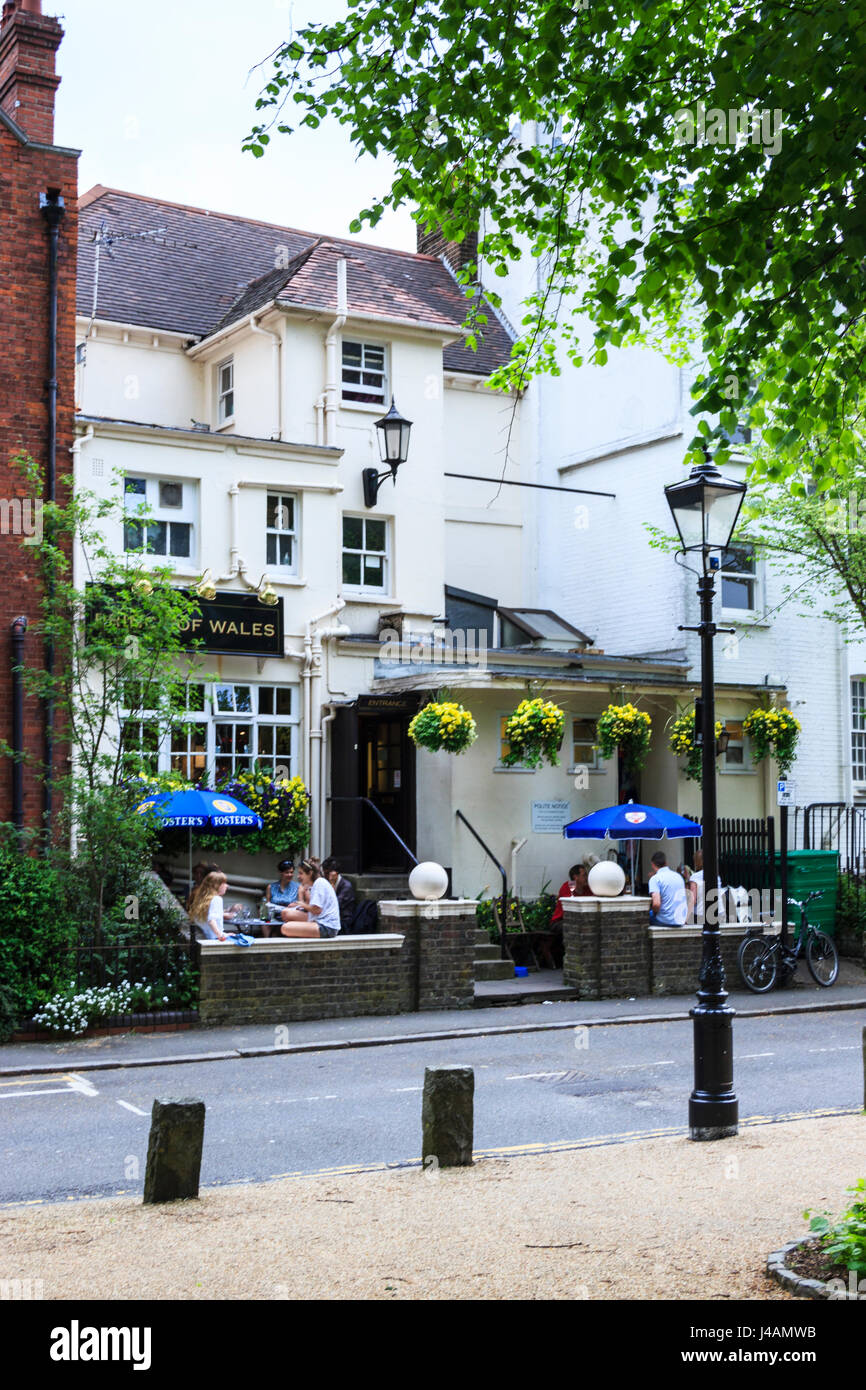 Die Rückseite des Prinzen von Wales Pub, Teich Square, Highgate, London, UK Stockfoto
