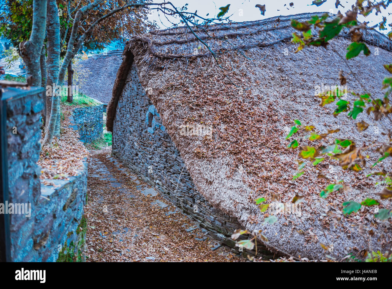 Palloza, traditionellen Reetdach-Haus in O Cebreiro.Pedrafita Cebreiro, Lugo, Galizien, Spanien, Europa Stockfoto
