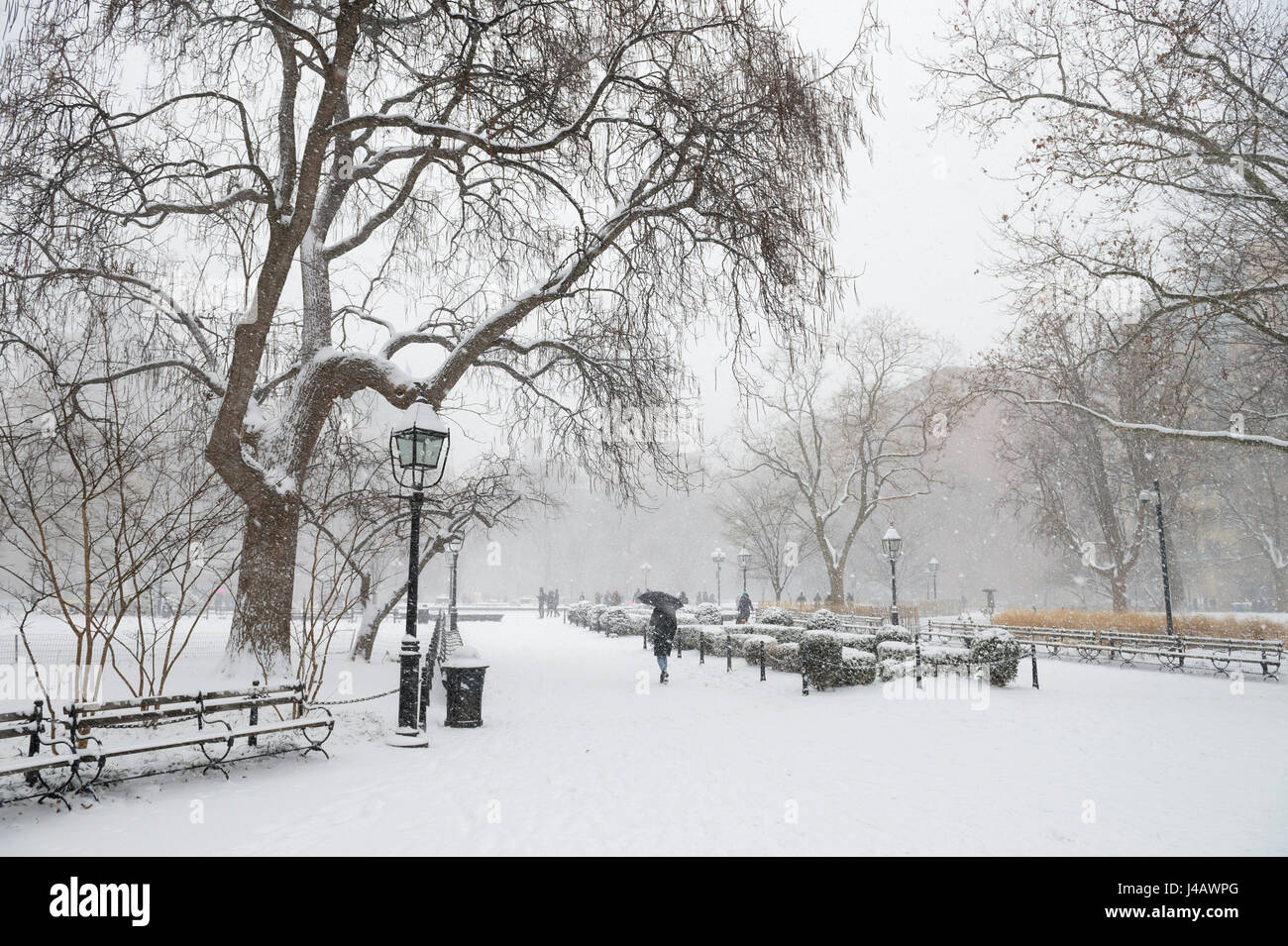Einsame Gestalt mit Regenschirm auf einem schneebedeckten Weg im Central Park als einen Winter Schneesturm zu Fuß dauert über New York City Stockfoto
