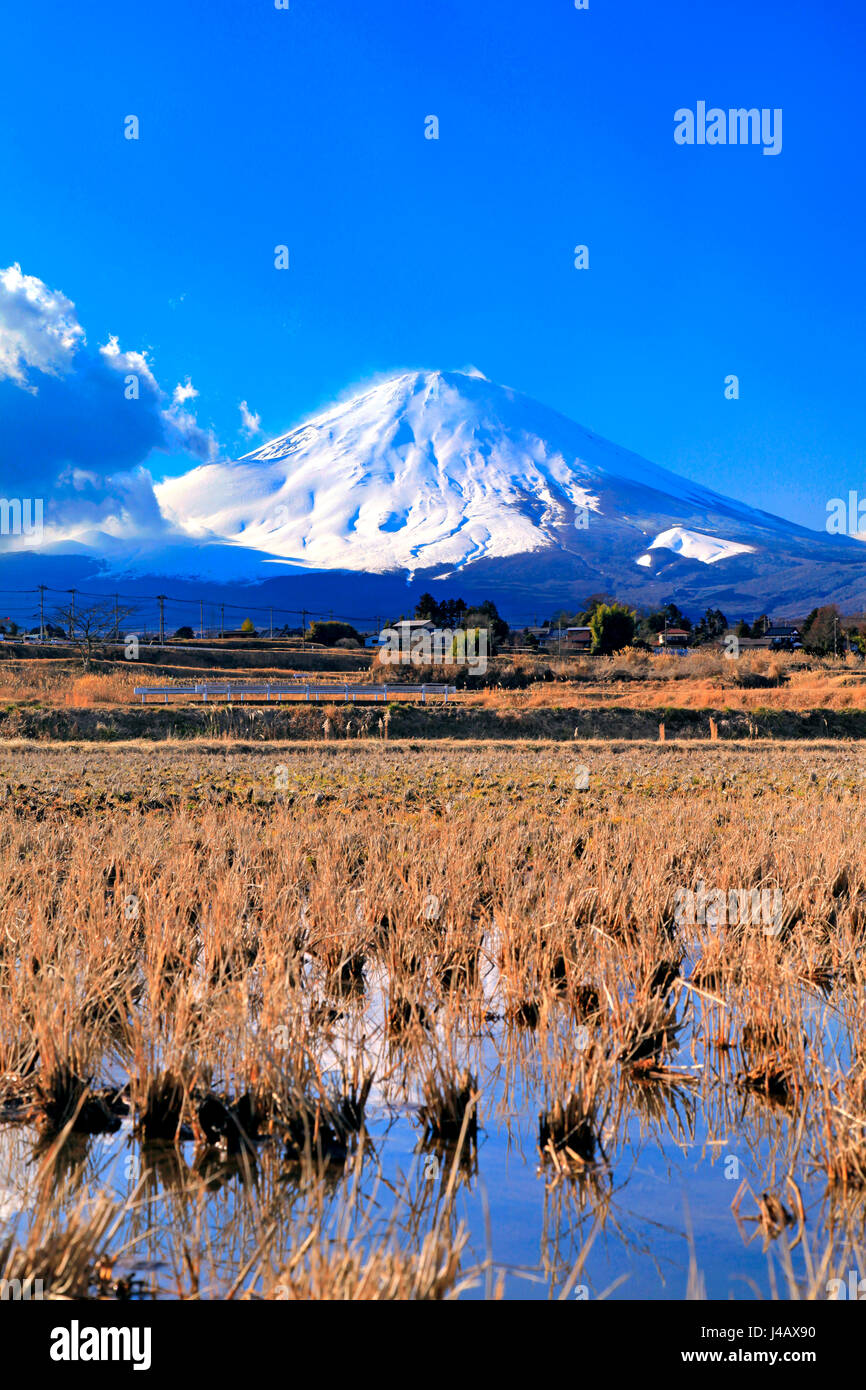 Blick auf Mount Fuji von Oyama-Cho Shizuoka Japan Stockfoto