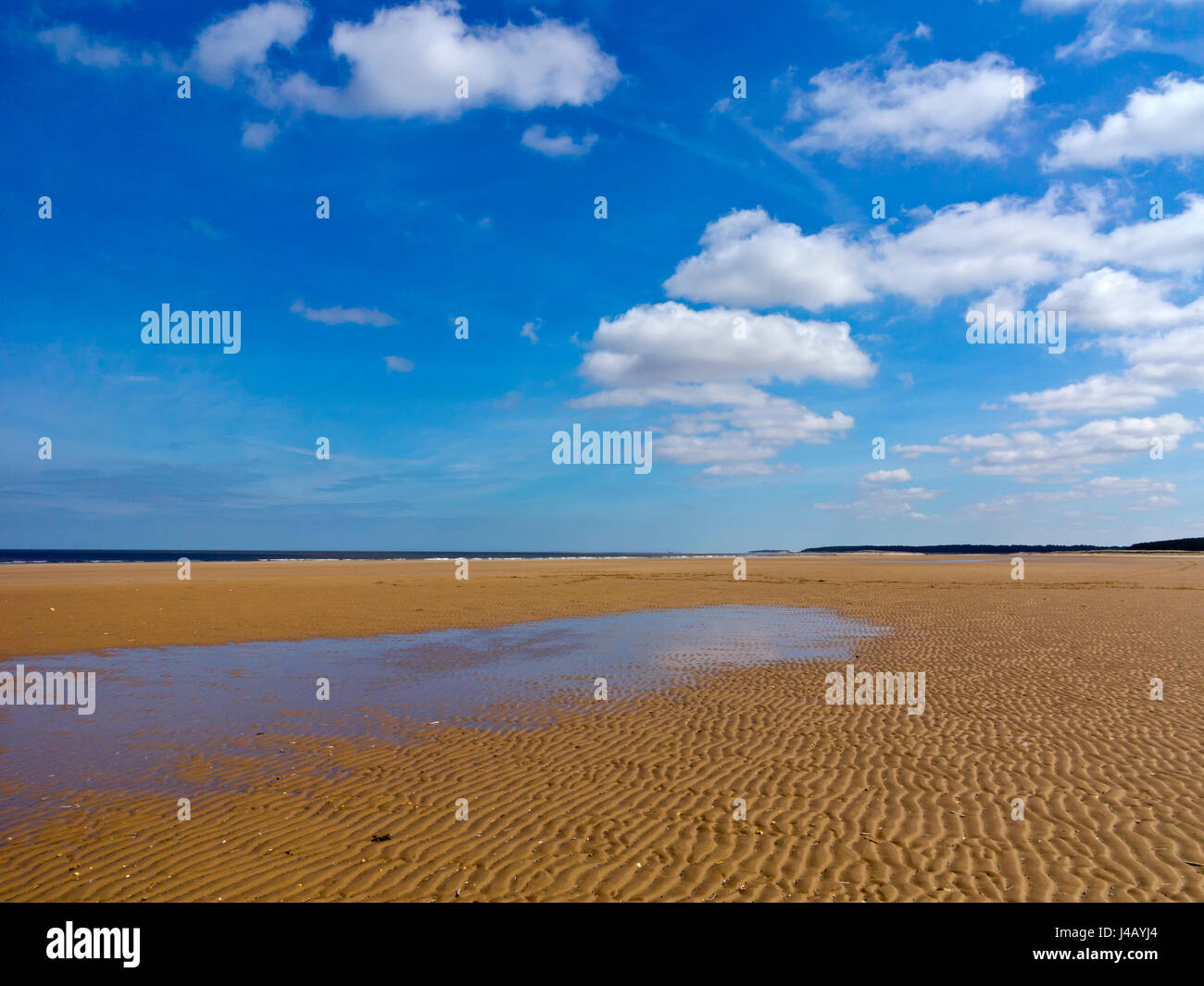 Der Sandstrand von Holkham Bay in North Norfolk England UK mit blauem Himmel und weißen Wolken Stockfoto