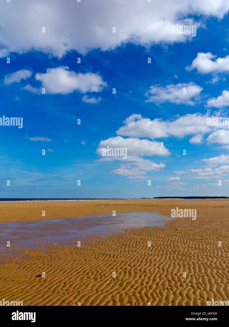 Der Sandstrand von Holkham Bay in North Norfolk England UK mit blauem Himmel und weißen Wolken Stockfoto