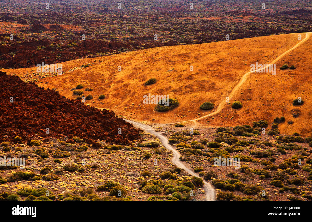 Wanderweg durch die Vulkanlandschaft der Insel Teneriffa, Kanarische Inseln, Spanien. Stockfoto