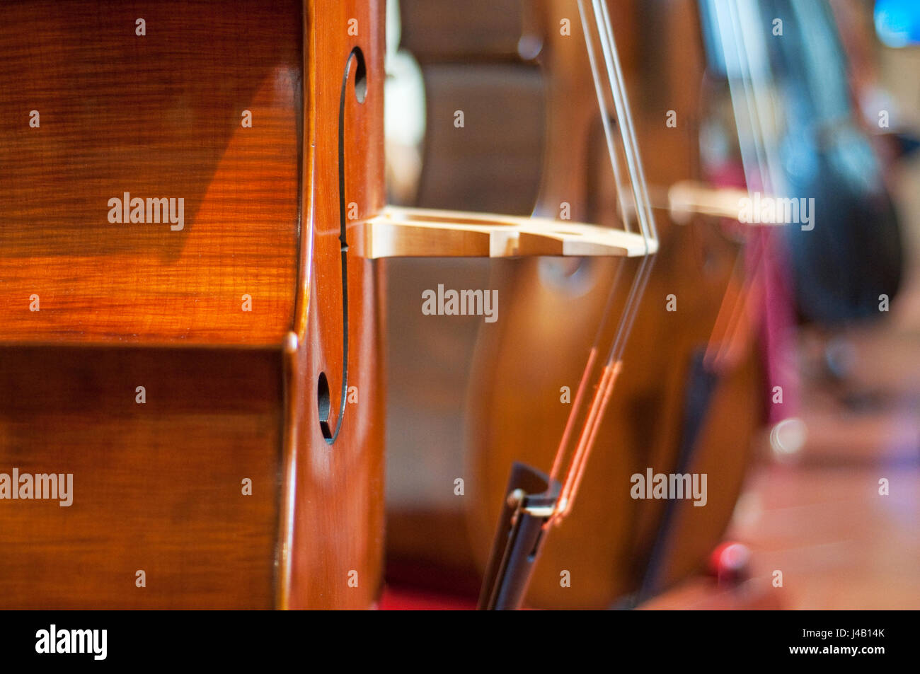 Nahaufnahme von Kontrabass, hölzerne Musikinstrument Stockfoto