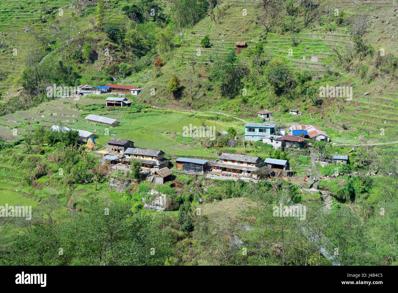 Farmer's Wohnungen und Pension unter den terrassierten Feldern in den Modi Khola Tal zwischen Landruk und Ghandruk, Annapurna region, Nepal. Stockfoto