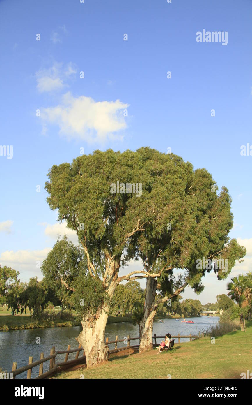 Israel, Tel Aviv, Hayarkon Park Yarkon Fluss Stockfoto