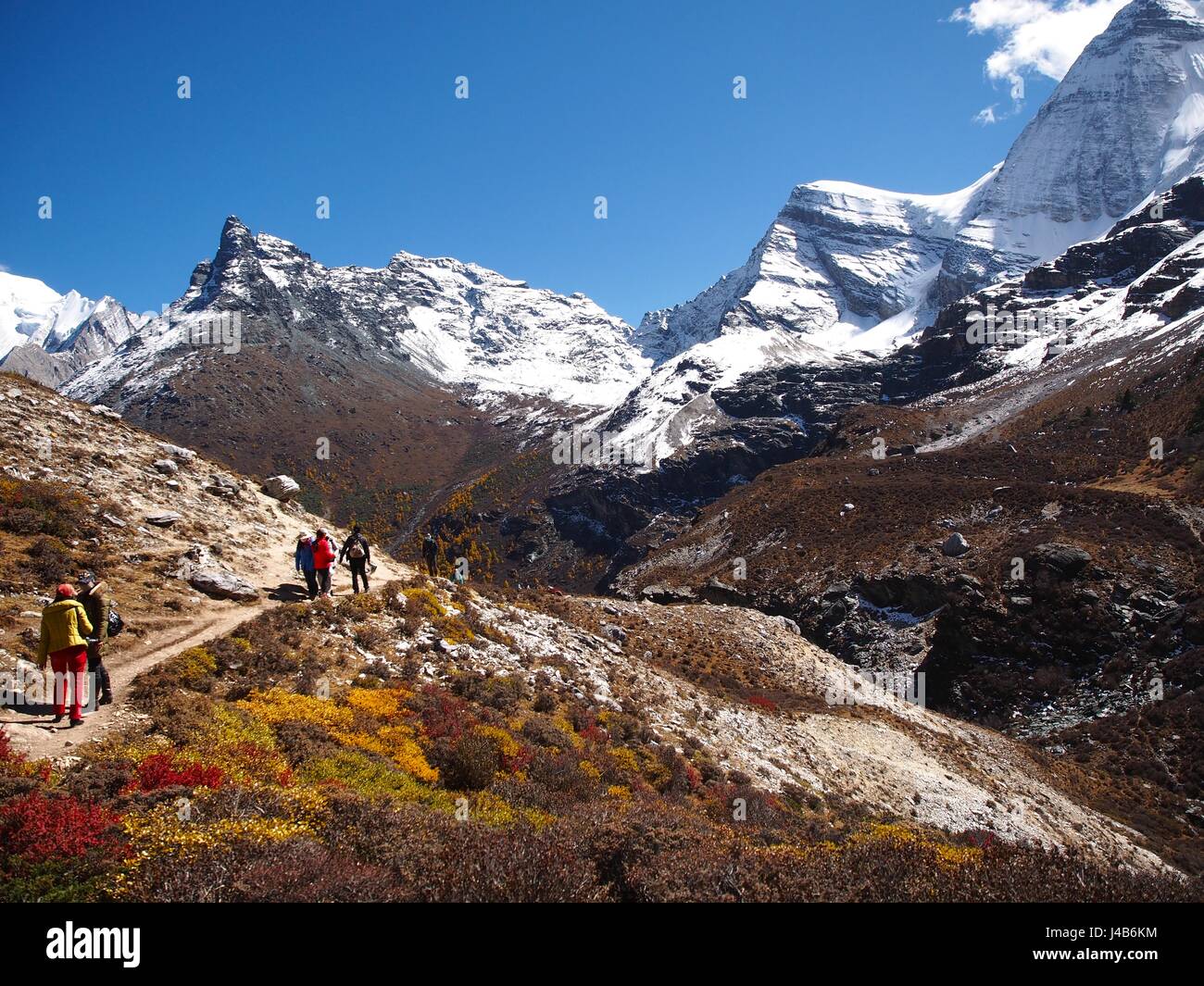 Herbst im Yading Naturreservat in Daocheng County, China Stockfoto