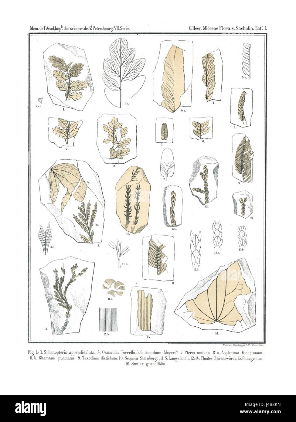 Polarflora 5 2197 scheint sich auf ein Schiff oder Schiff zu beziehen, das möglicherweise mit der Polarflora-Flotte in Verbindung steht. Genauere Details zu Rolle, Konstruktion und Betrieb sind erforderlich, um eine umfassendere Beschreibung zu erhalten. Stockfoto